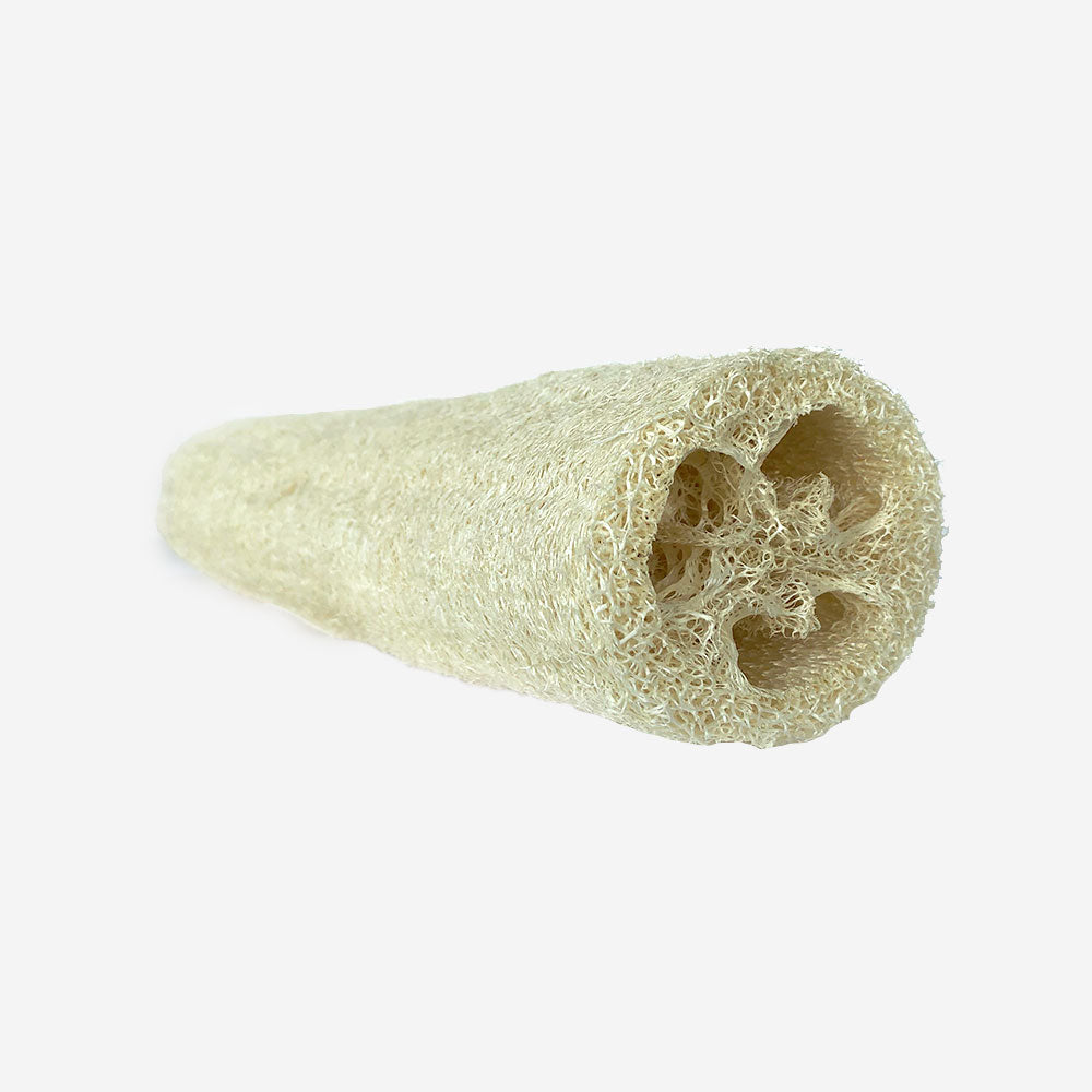 loofah – different sizes